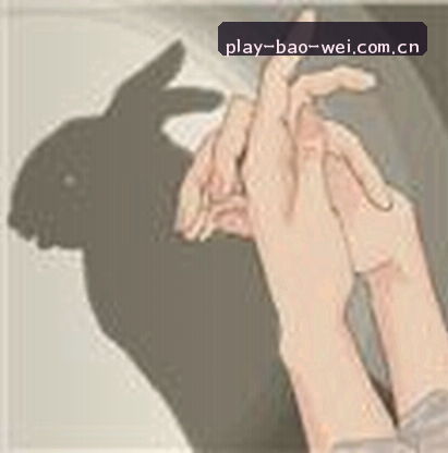 周涛